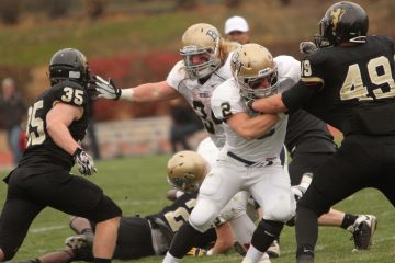 Donec aliquam tellus ut dolor commodo bibendum.